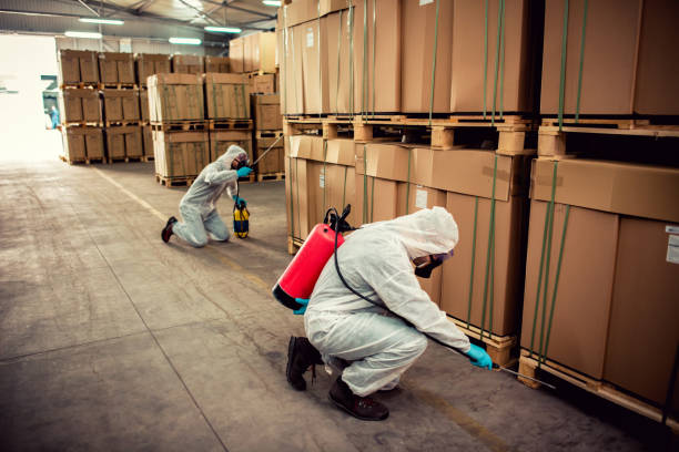 Best Local Pest Control Services  in Gorman, TX