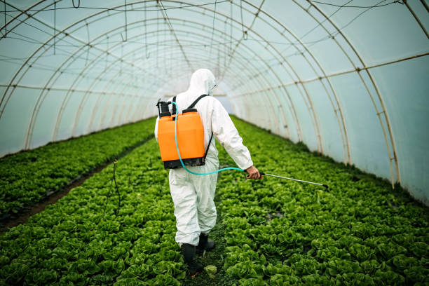 Best Pest Inspection Near Me  in Gorman, TX