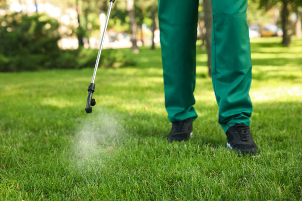 Trusted Gorman, TX Pest Control Experts