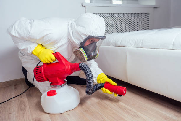  Gorman, TX Pest Control Pros
