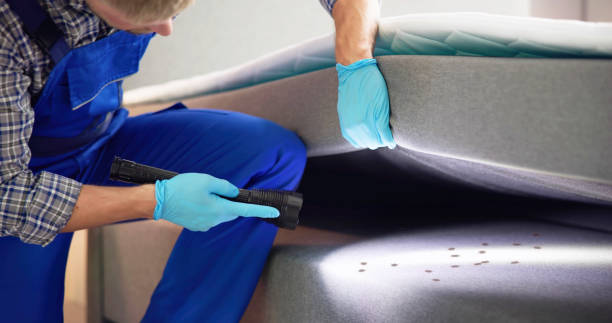 Best Wasp Removal Services  in Gorman, TX