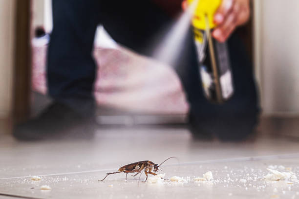 Best Affordable Pest Control Services  in Gorman, TX