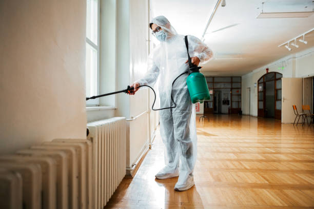 Best Termite Control Services  in Gorman, TX