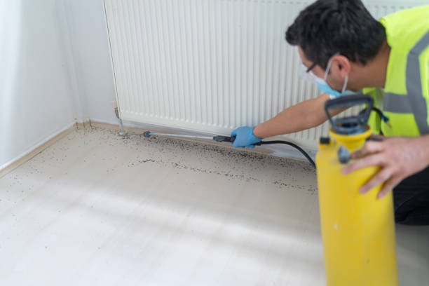 Best Best Pest Control Companies  in Gorman, TX