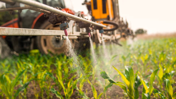 Best Commercial Pest Control Services  in Gorman, TX